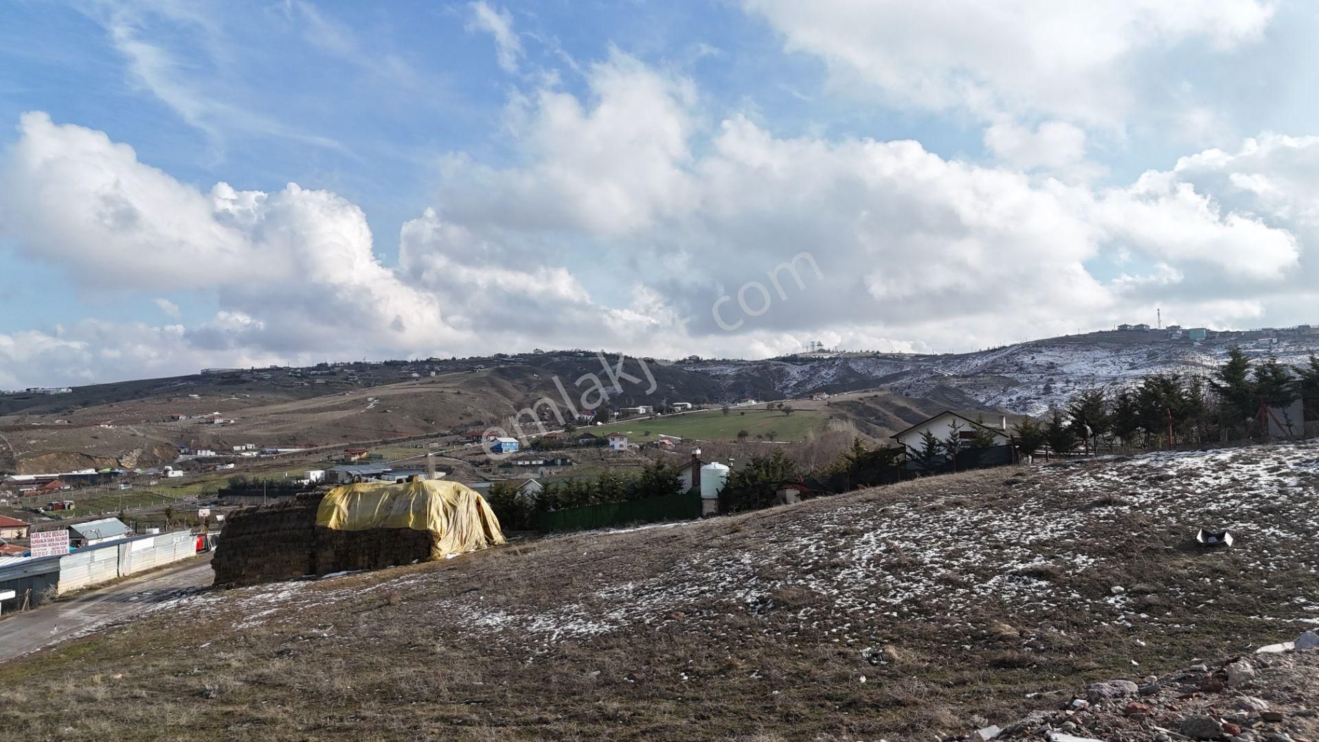 Bağlum'da Asfalt Yol Kenarında Tapulu 242 M2 Hisseli Bahçe - Görsel 15