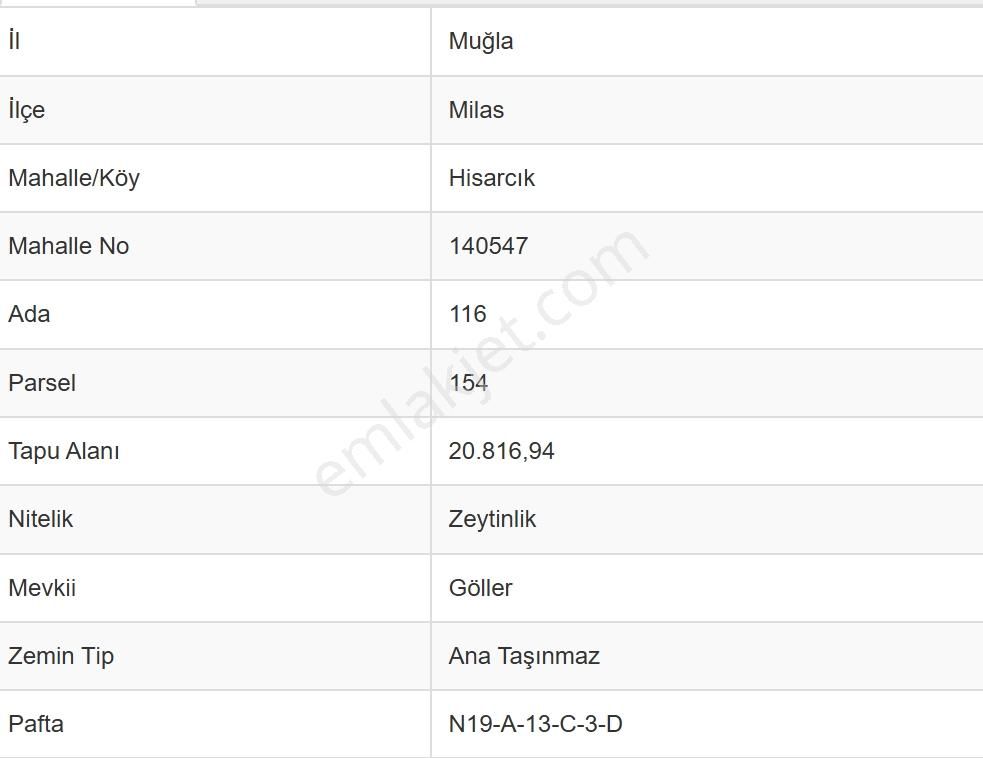 Muğla Milas Hisarcık Köyünde 20.816 M2 Satılık Zeytinlik - Görsel 9