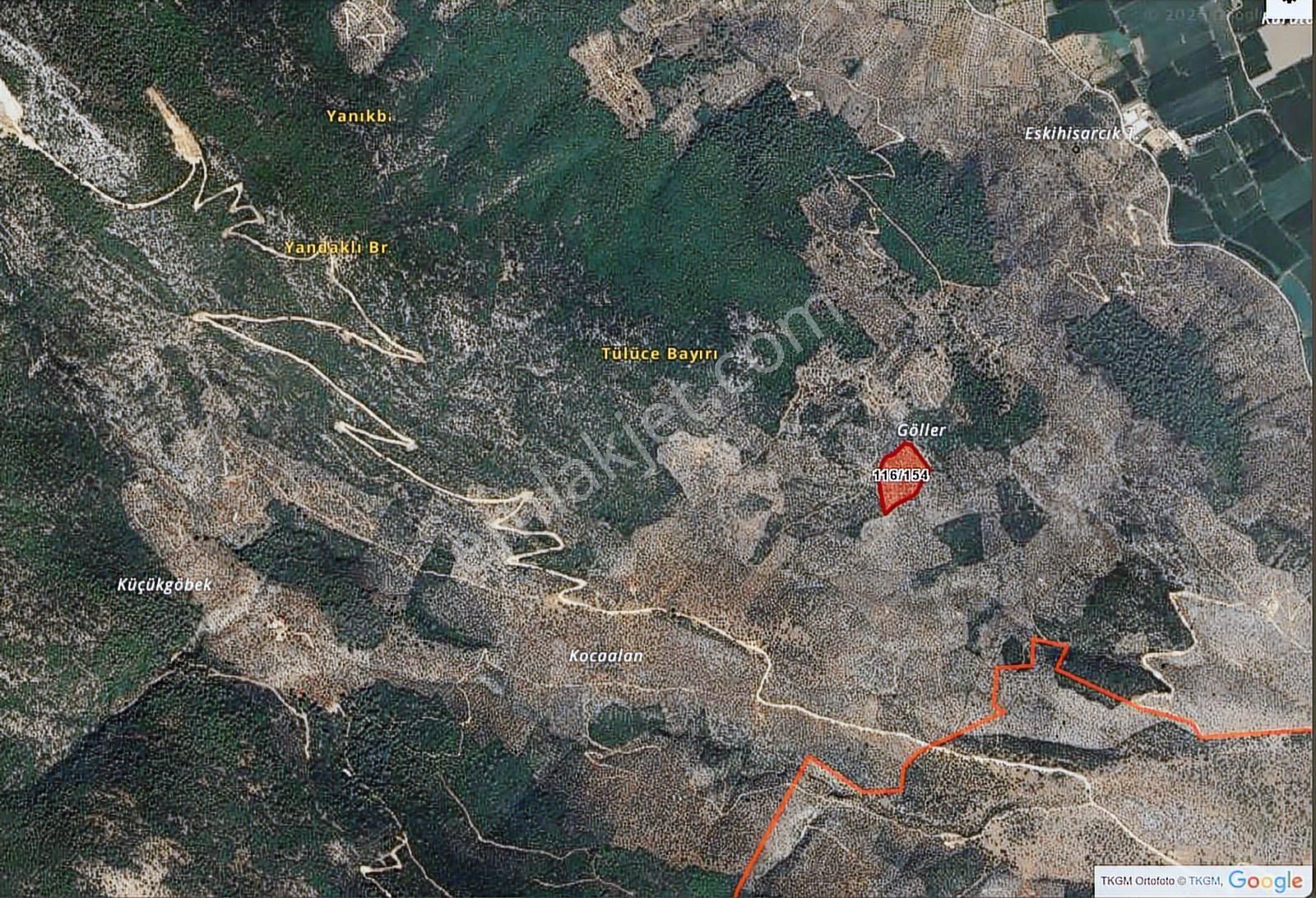 Muğla Milas Hisarcık Köyünde 20.816 M2 Satılık Zeytinlik - Görsel 14