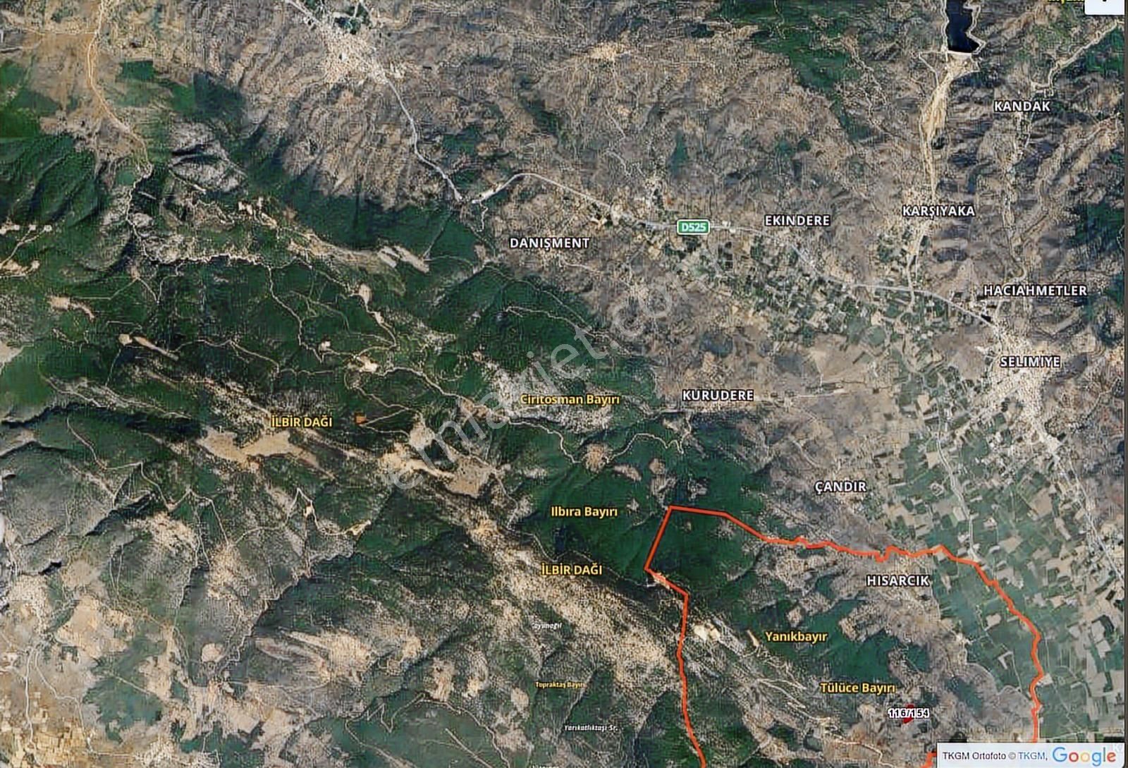 Muğla Milas Hisarcık Köyünde 20.816 M2 Satılık Zeytinlik - Görsel 10