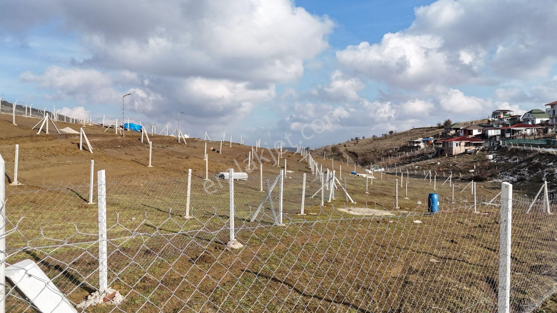 Bağlum Merkeze 6 Km - Asfalt Yola Yakın - 200 M2 Hobi Bahçeleri - Görsel 6