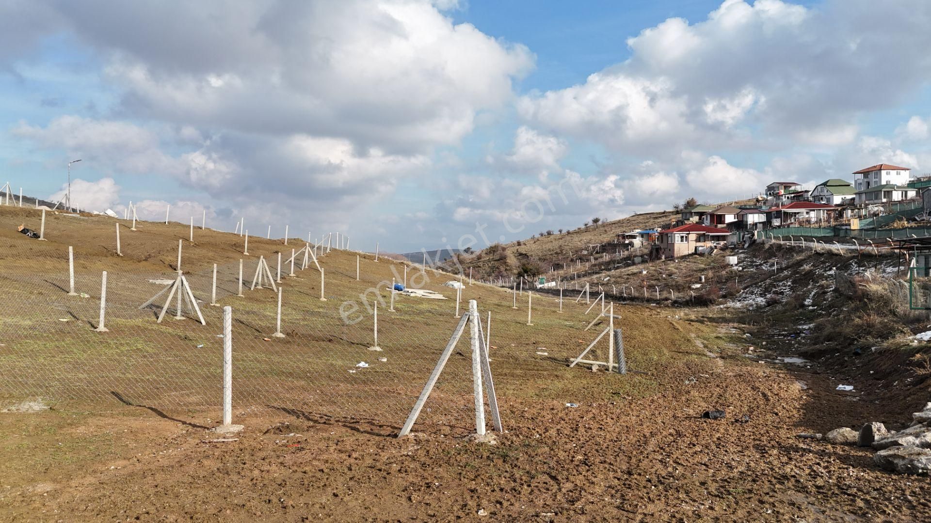 Bağlum Merkeze 6 Km - Asfalt Yola Yakın - 200 M2 Hobi Bahçeleri - Görsel 7