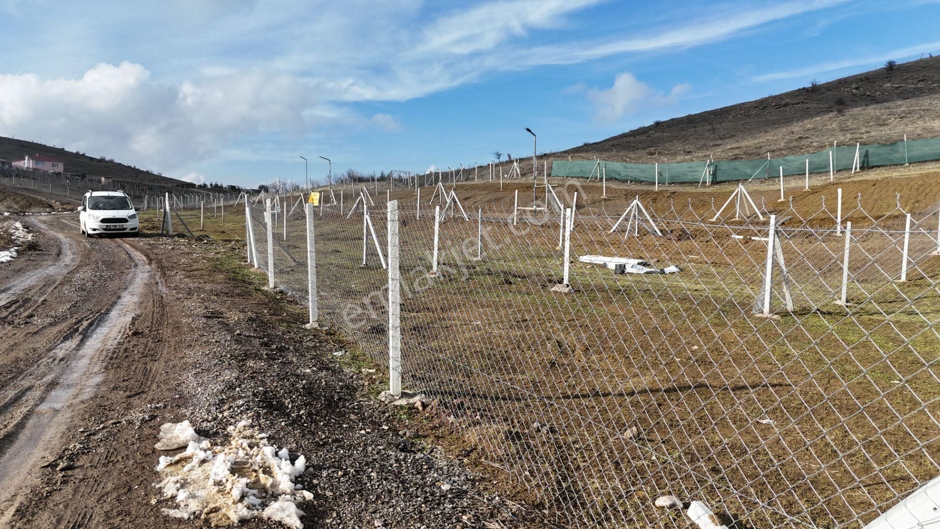 Bağlum Merkeze 6 Km - Asfalt Yola Yakın - 200 M2 Hobi Bahçeleri - Görsel 9