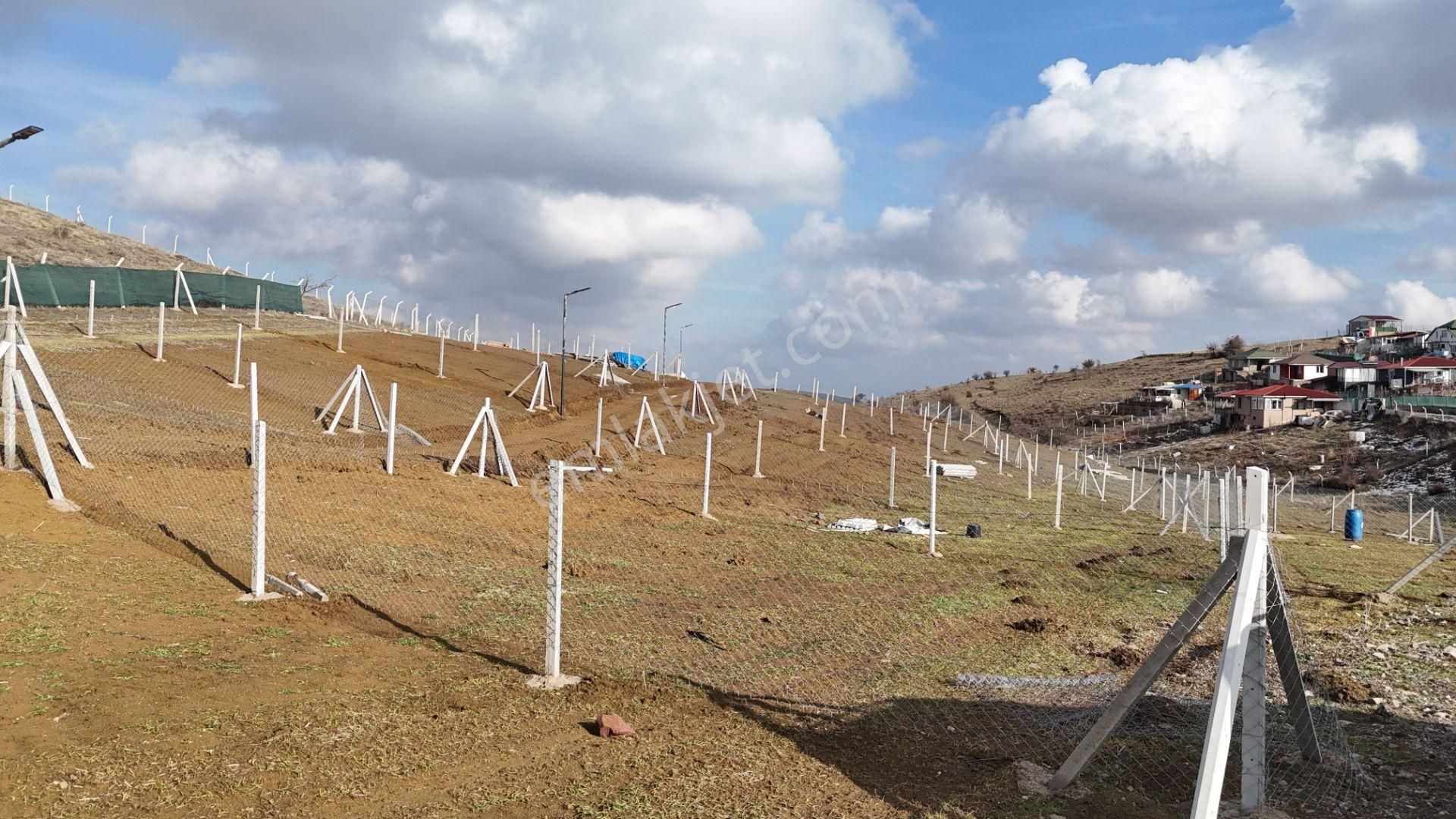 Bağlum Merkeze 6 Km - Asfalt Yola Yakın - 200 M2 Hobi Bahçeleri - Görsel 4