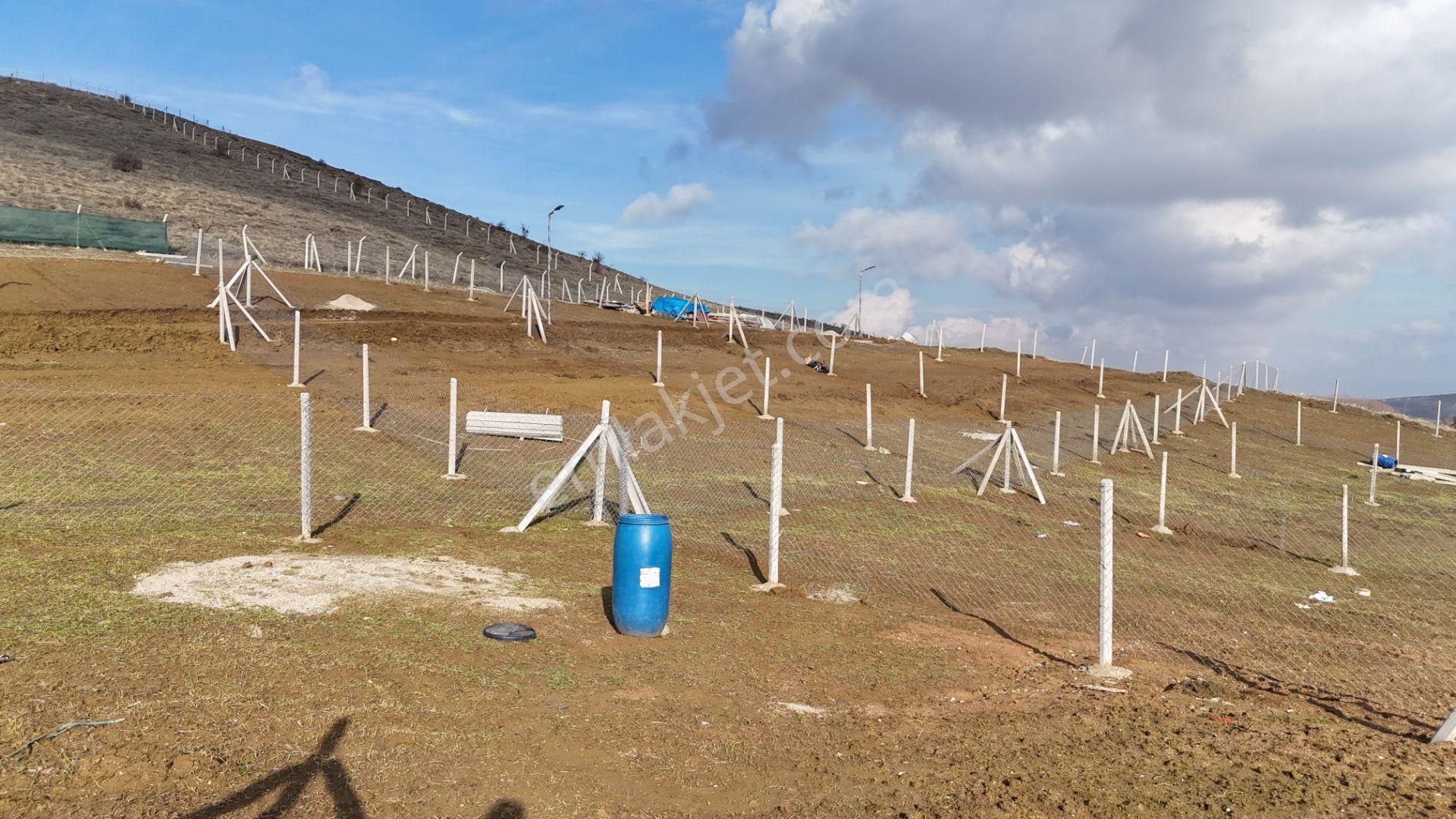 Bağlum Merkeze 6 Km - Asfalt Yola Yakın - 200 M2 Hobi Bahçeleri - Görsel 8