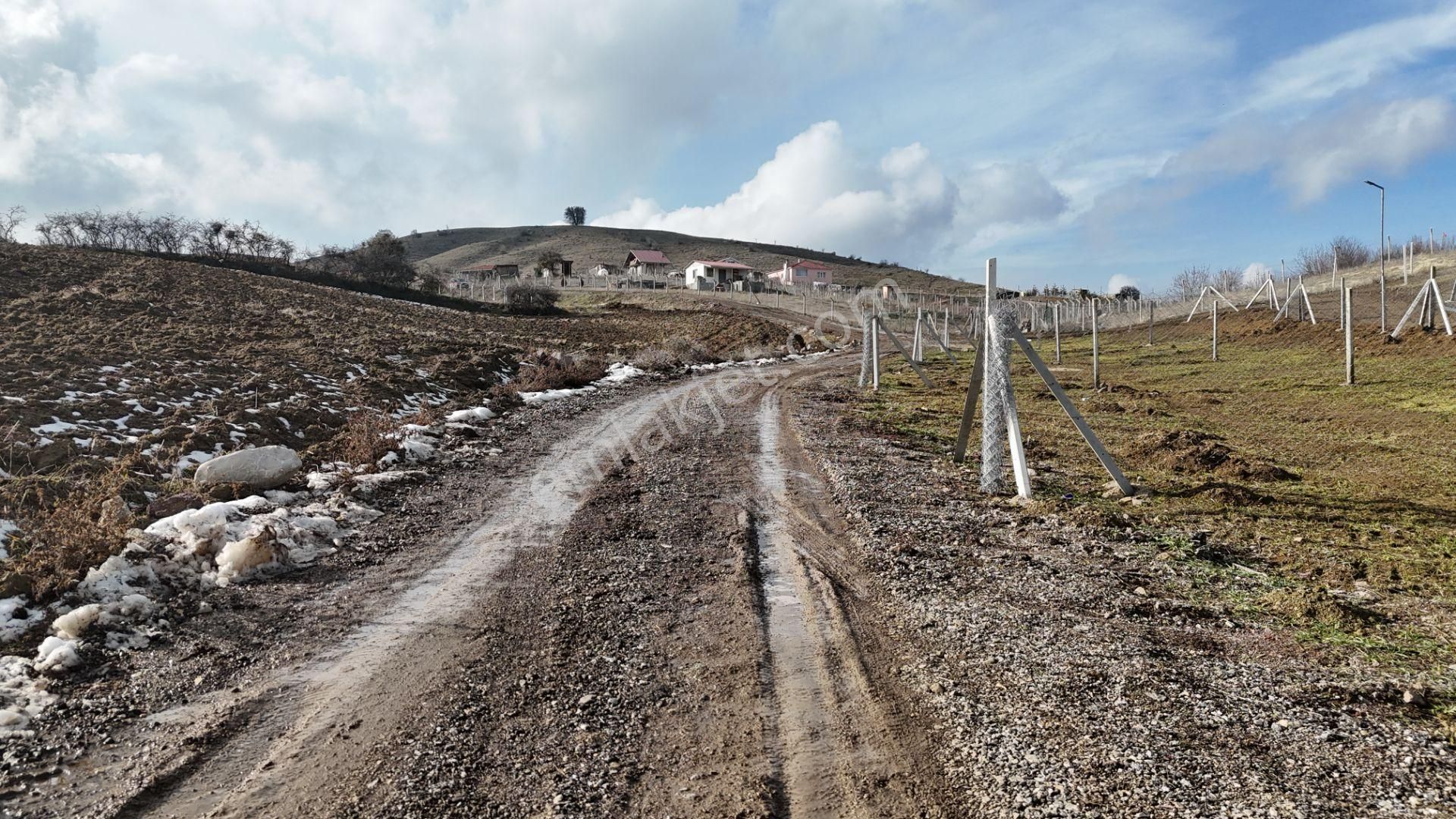 Bağlum Merkeze 6 Km - Asfalt Yola Yakın - 200 M2 Hobi Bahçeleri - Görsel 2