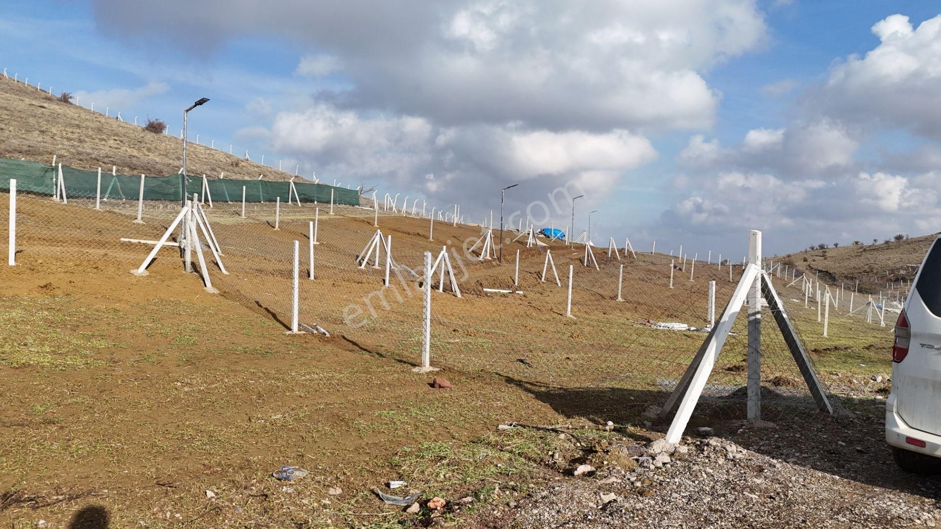 Bağlum Merkeze 6 Km - Asfalt Yola Yakın - 200 M2 Hobi Bahçeleri - Görsel 3