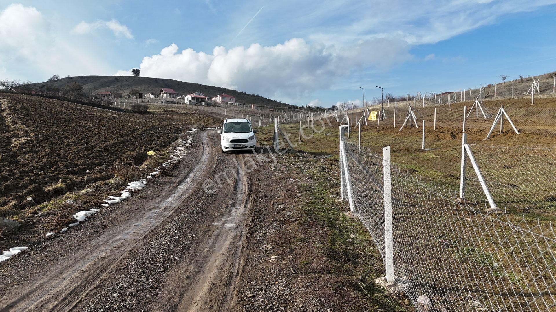 Bağlum Merkeze 6 Km - Asfalt Yola Yakın - 200 M2 Hobi Bahçeleri - Görsel 16