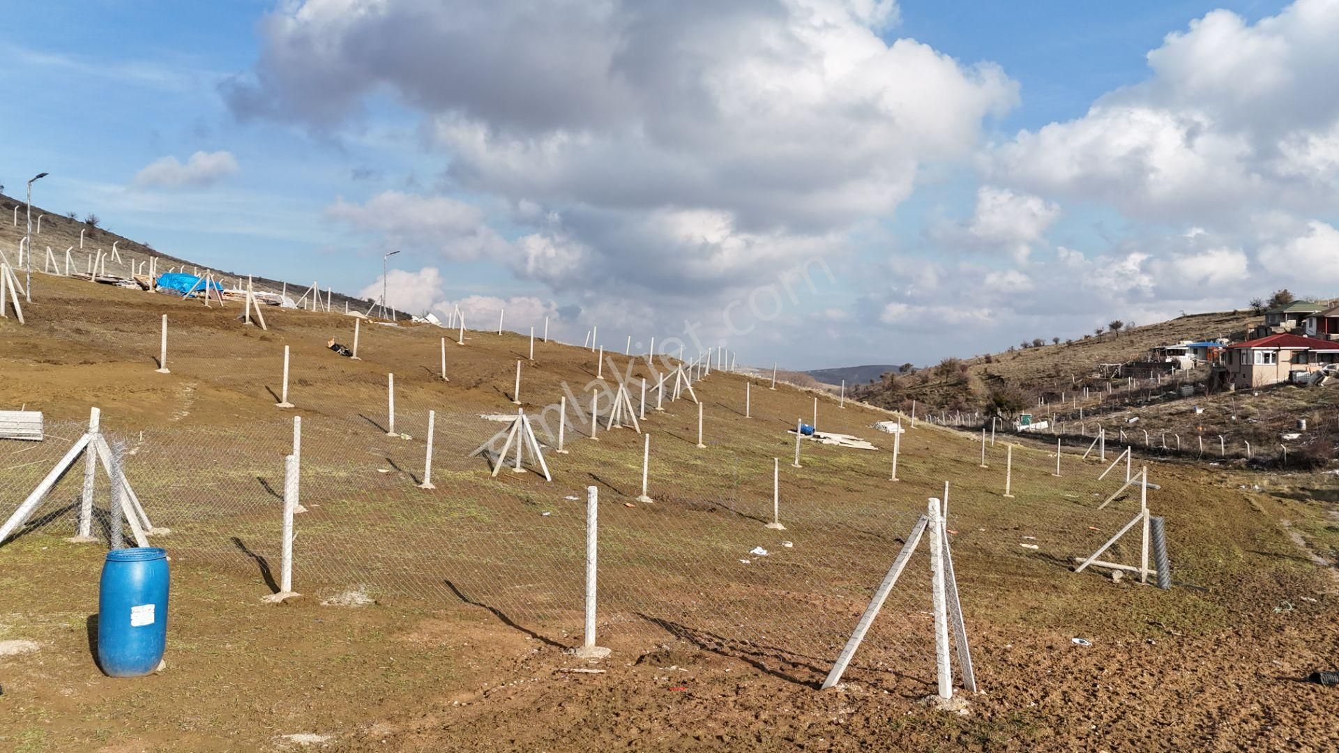 Bağlum Merkeze 6 Km - Asfalt Yola Yakın - 200 M2 Hobi Bahçeleri - Görsel 11