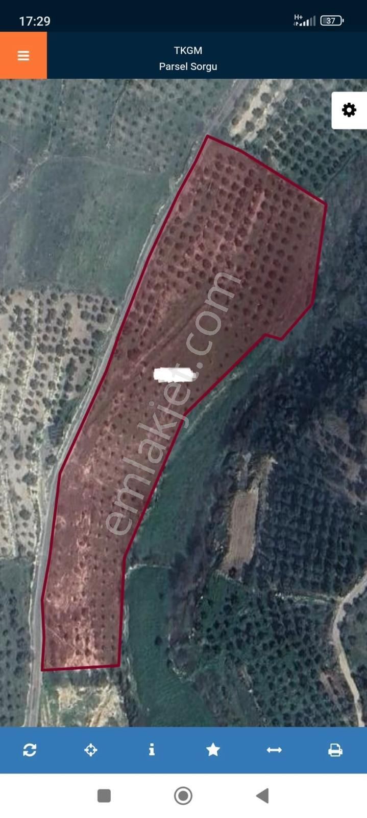 Bozdoğan Yazıkent'te 15 Dönüm Zeytinlik - Görsel 2