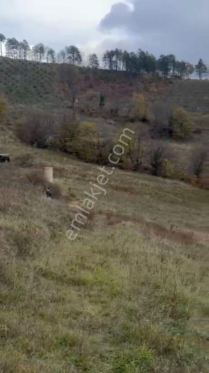 Geyvede Acil Satılık Müstakil Tapulu 18.293 M2 Tarla - Görsel 11