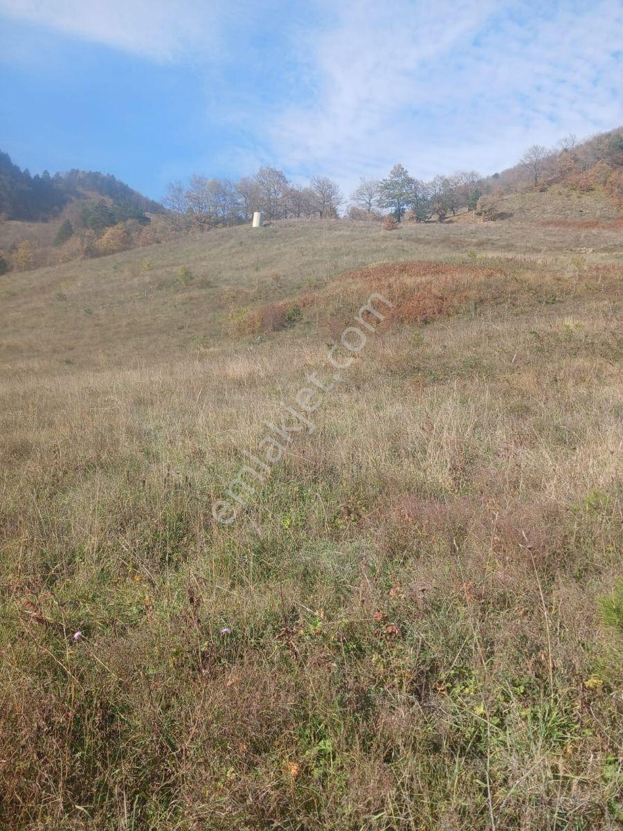 Geyvede Acil Satılık Müstakil Tapulu 18.293 M2 Tarla - Görsel 6