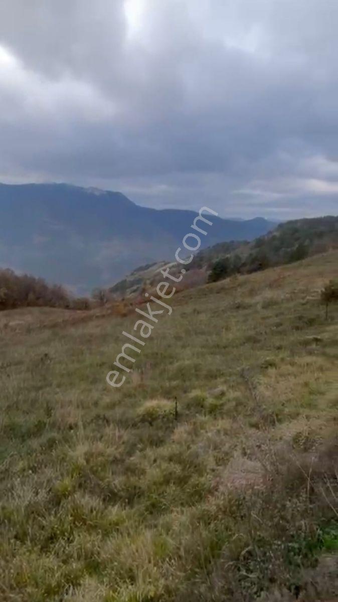 Geyvede Acil Satılık Müstakil Tapulu 18.293 M2 Tarla