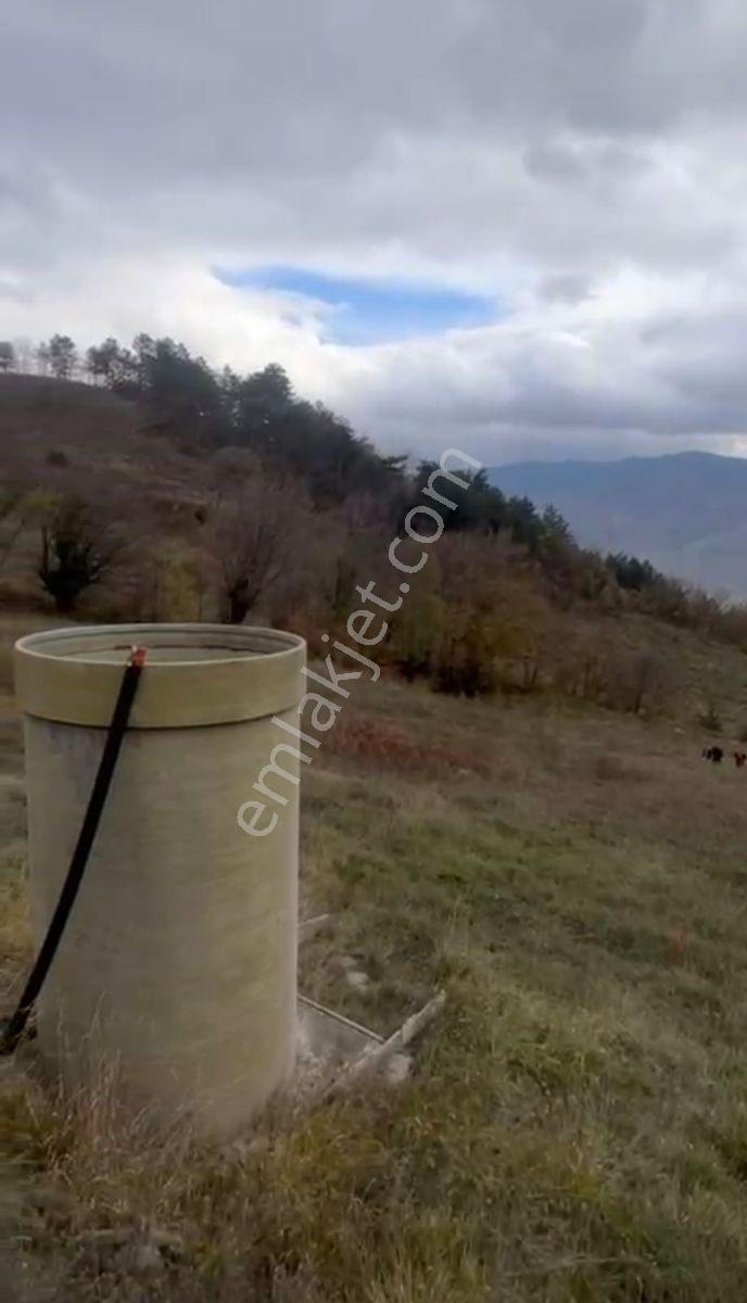 Geyvede Acil Satılık Müstakil Tapulu 18.293 M2 Tarla - Görsel 9