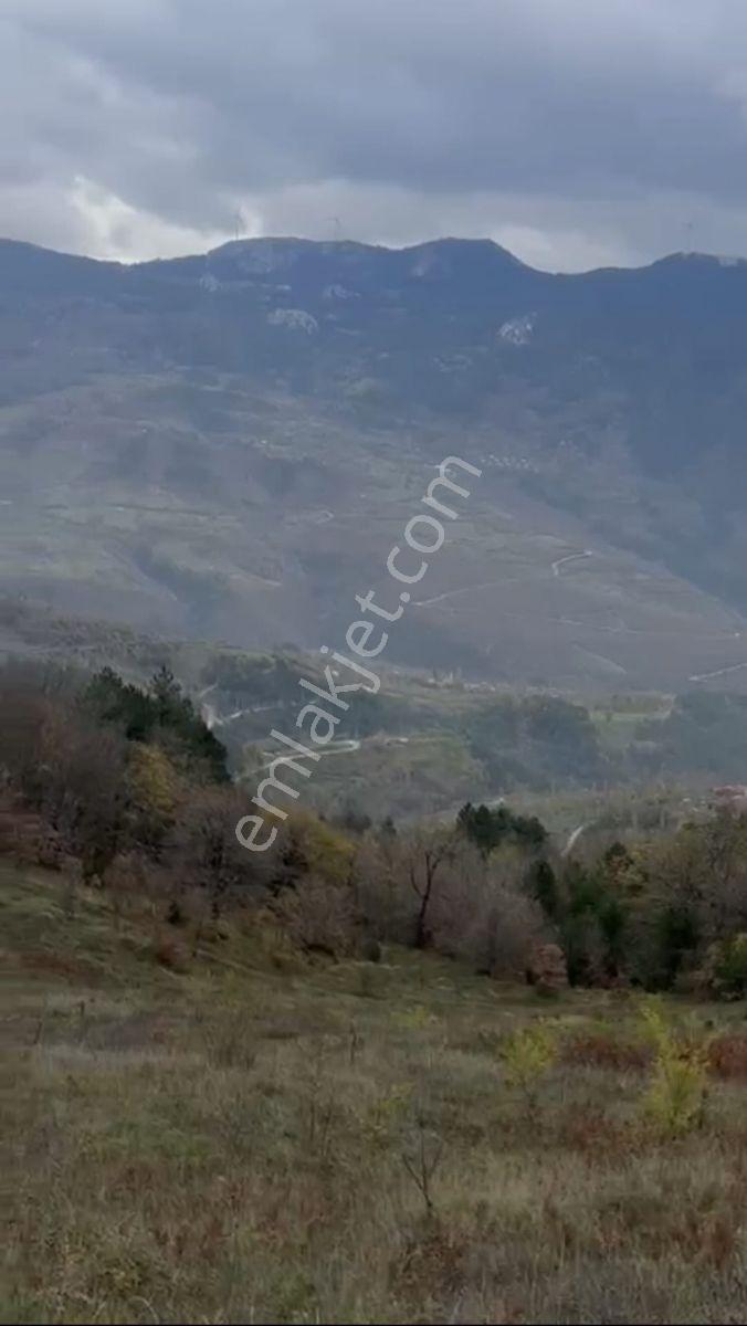 Geyvede Acil Satılık Müstakil Tapulu 18.293 M2 Tarla - Görsel 8