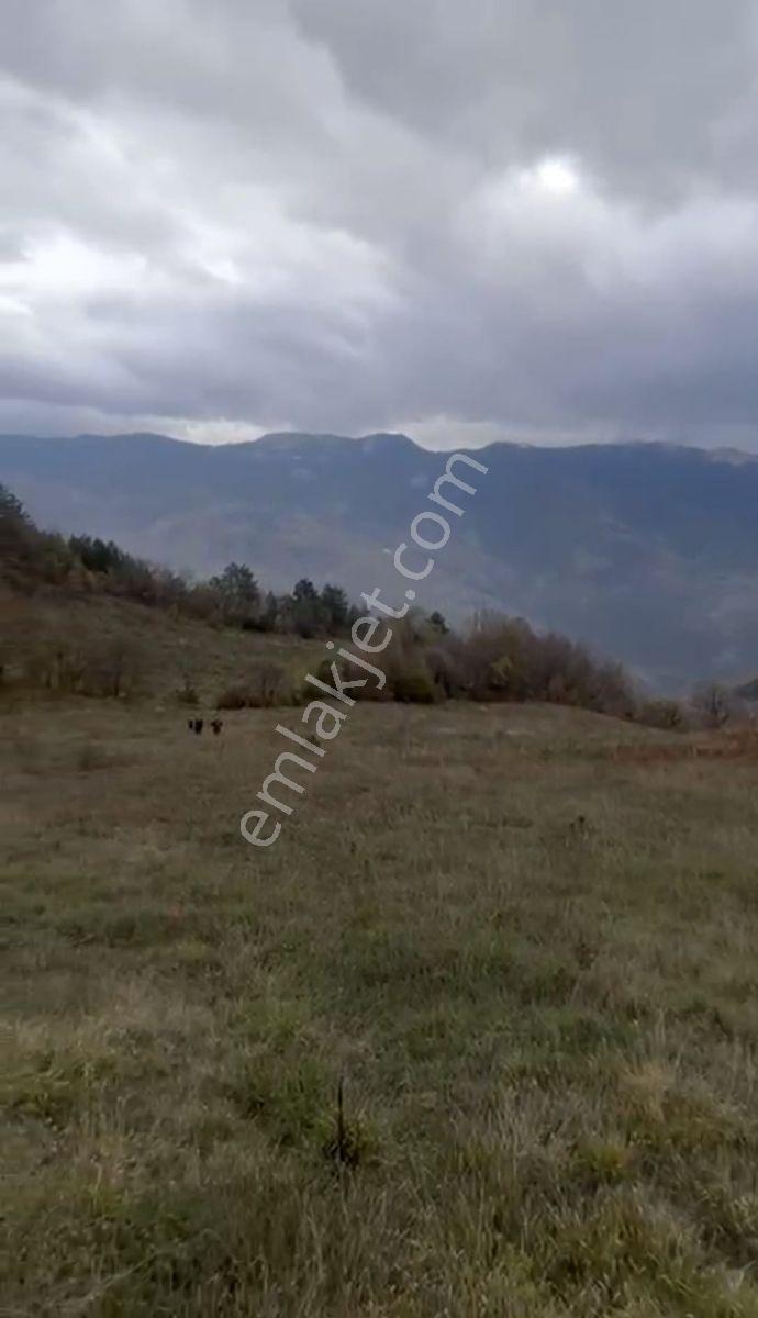 Geyvede Acil Satılık Müstakil Tapulu 18.293 M2 Tarla - Görsel 10