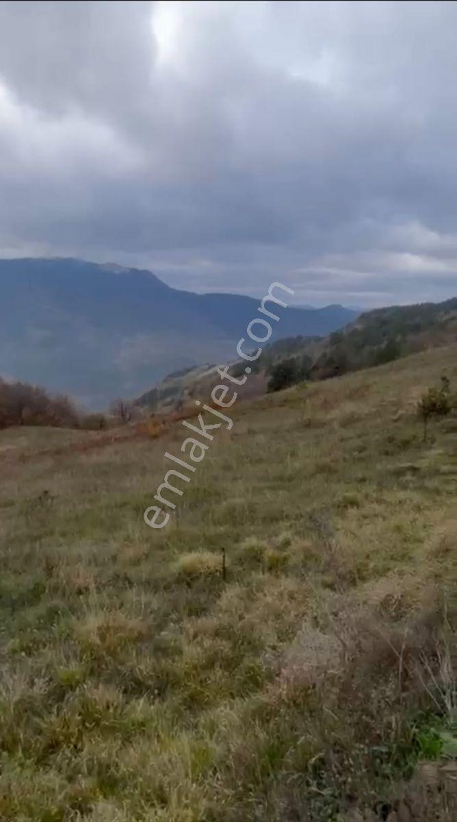 Geyvede Acil Satılık Müstakil Tapulu 18.293 M2 Tarla - Görsel 7