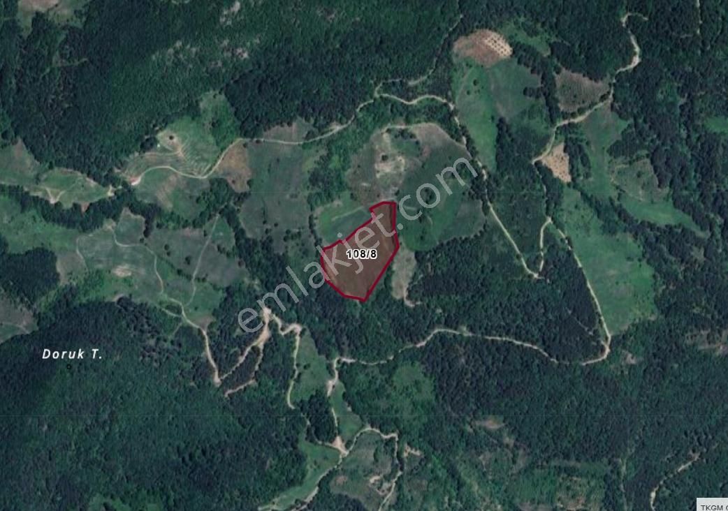 Geyvede Satılık Müstakil Tapulu 18.293 M2 Tarla - Görsel 3