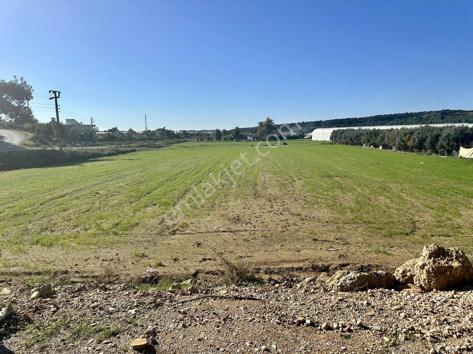 Manavgat Hacıobası Mah. Köy Yerleşim Merkezi İçinde Fırsat Arazi - Görsel 7