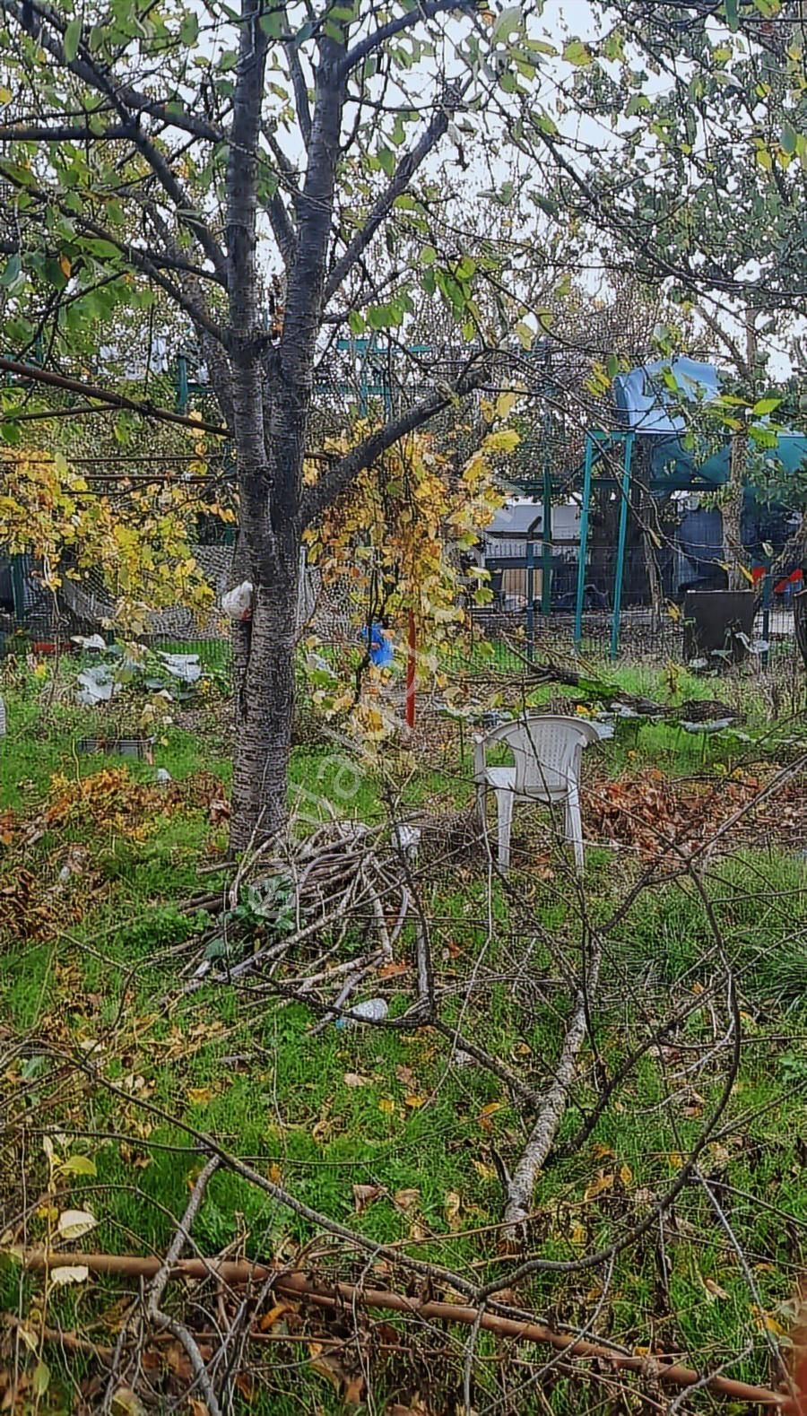 Arnavutköy Dursunköy Mah .2.052m2 Resmi Yola Cepheli Tarla - Görsel 10