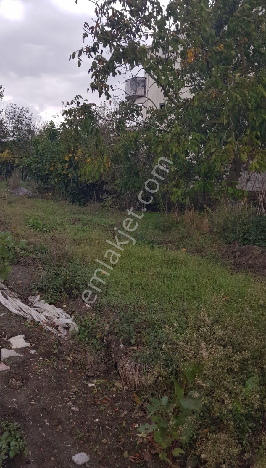 Arnavutköy Dursunköy Mah .2.052m2 Resmi Yola Cepheli Tarla - Görsel 14