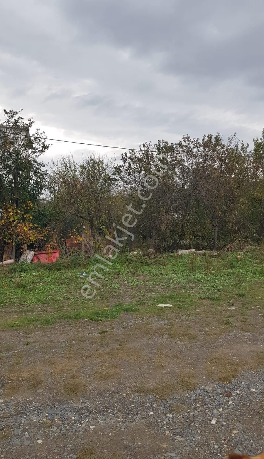 Arnavutköy Dursunköy Mah .2.052m2 Resmi Yola Cepheli Tarla - Görsel 4