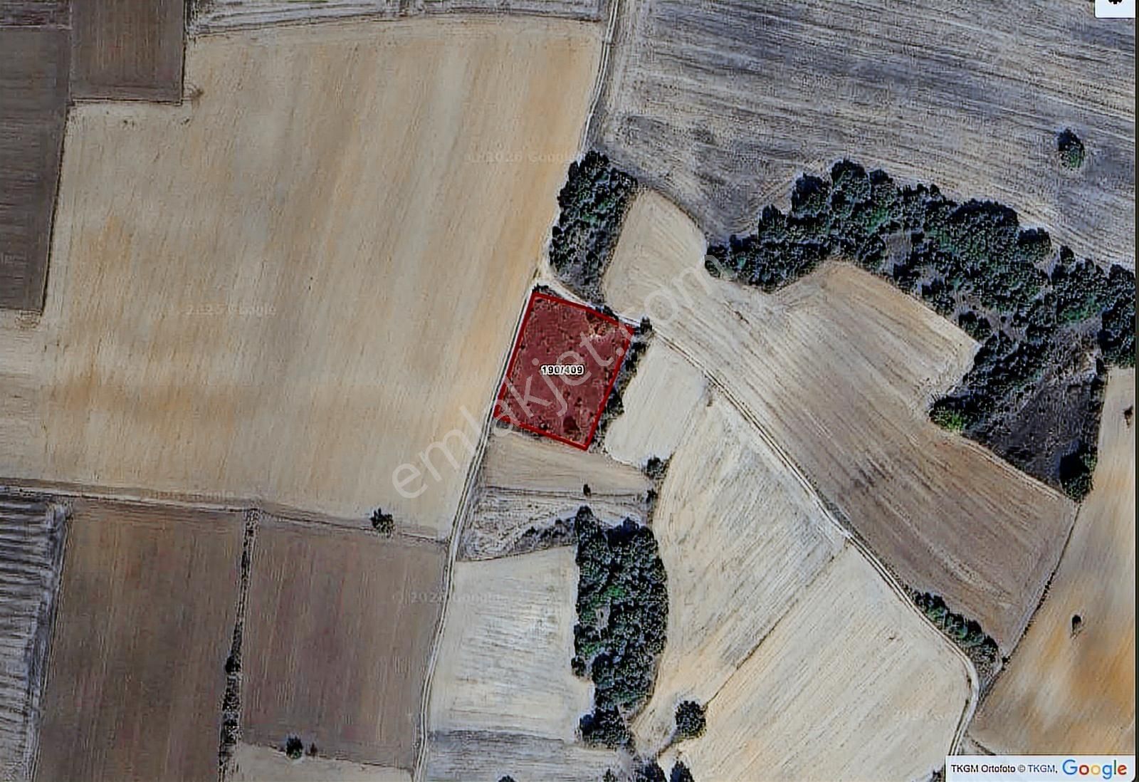 Lüleburgaz Celaliye Köyünde 2.346 M2 Satılık Tarla - Görsel 2