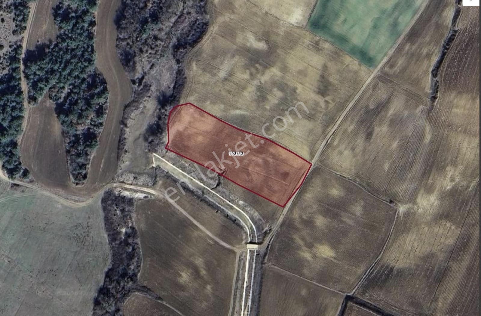 Keşan Çeltik Köyünde 7.471 M2 Kadastrol Yola Cephe Tarla - Görsel 3