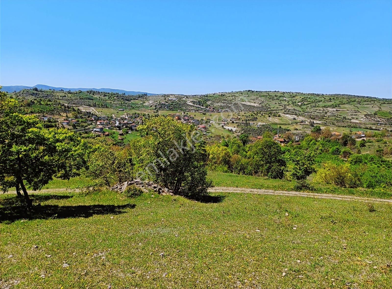 Kandıra Çalca Mah .2.349 M2 Kadastrol Yola Cephe Tarla - Görsel 3