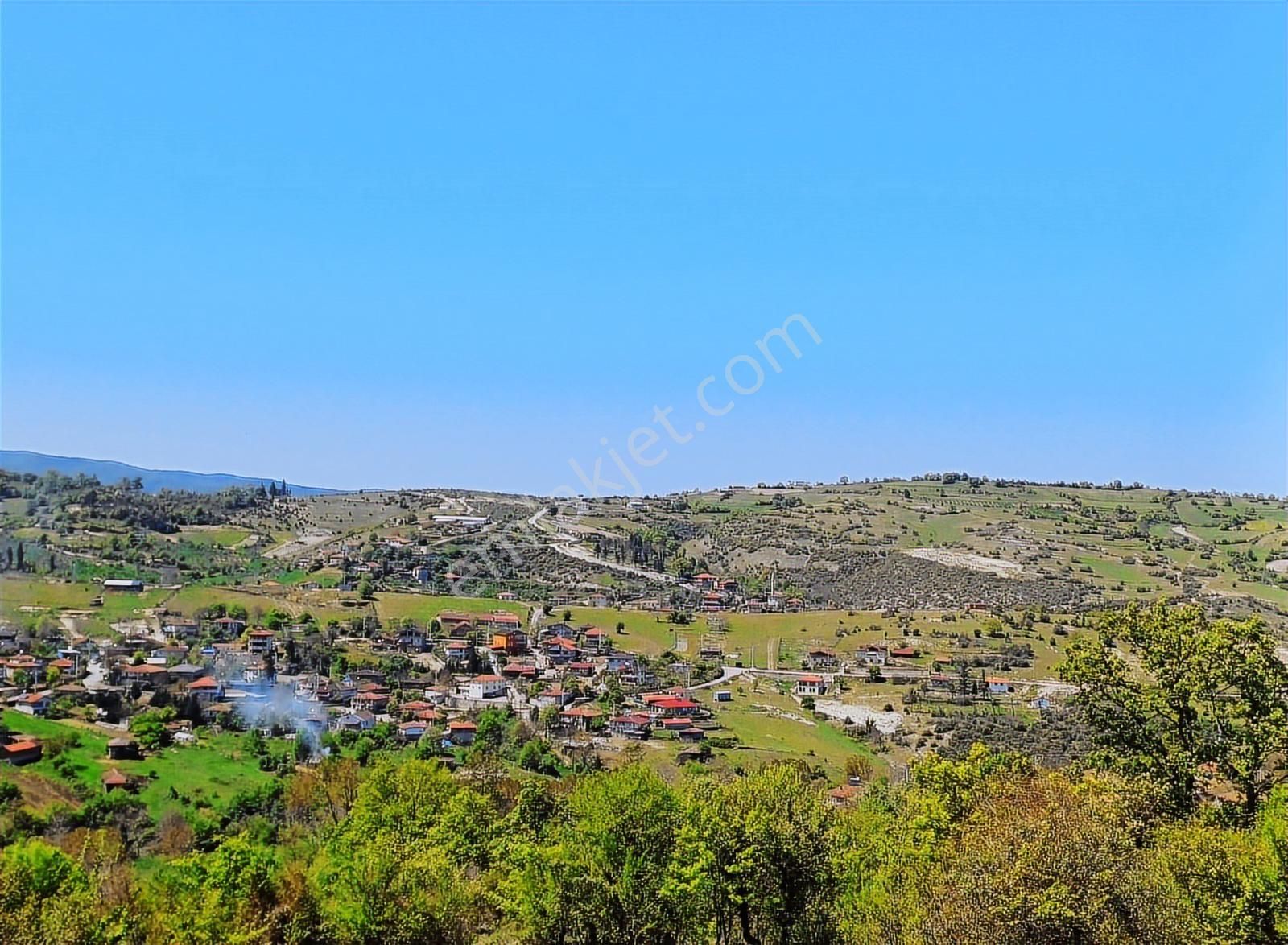 Kandıra Çalca Mah .2.349 M2 Kadastrol Yola Cephe Tarla