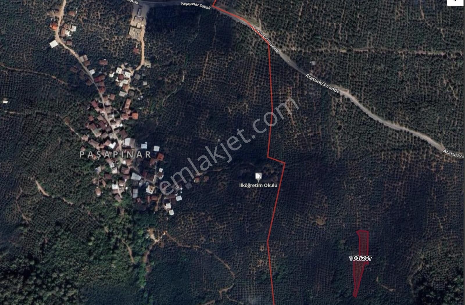 Bursa Orhangazi Narlıca Mah. 2.187 M2 Satılık Zeytinlik - Görsel 12