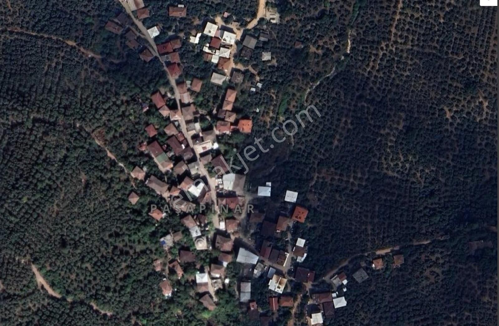 Bursa Orhangazi Narlıca Mah. 2.187 M2 Satılık Zeytinlik - Görsel 8