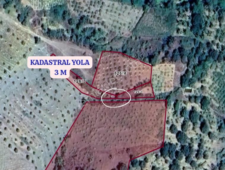 Karaman Merkez Aşağıkızılca Köyünde 959 M² Bağ Satılıktır - Görsel 3