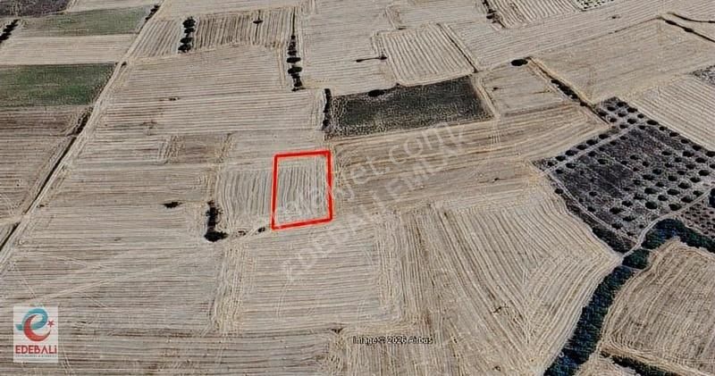 Gölpazarı Karaağaçta 2.722 M2 Satılık Tarla - Görsel 3