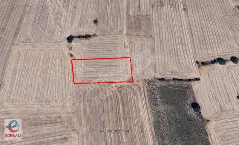 Gölpazarı Karaağaçta 2.722 M2 Satılık Tarla - Görsel 5