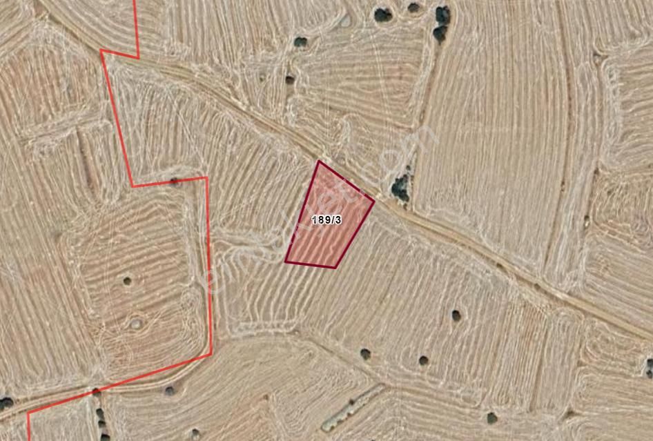 Karaman Merkez Başkışla Köyünde 1.500 M² Tarla Satılıktır