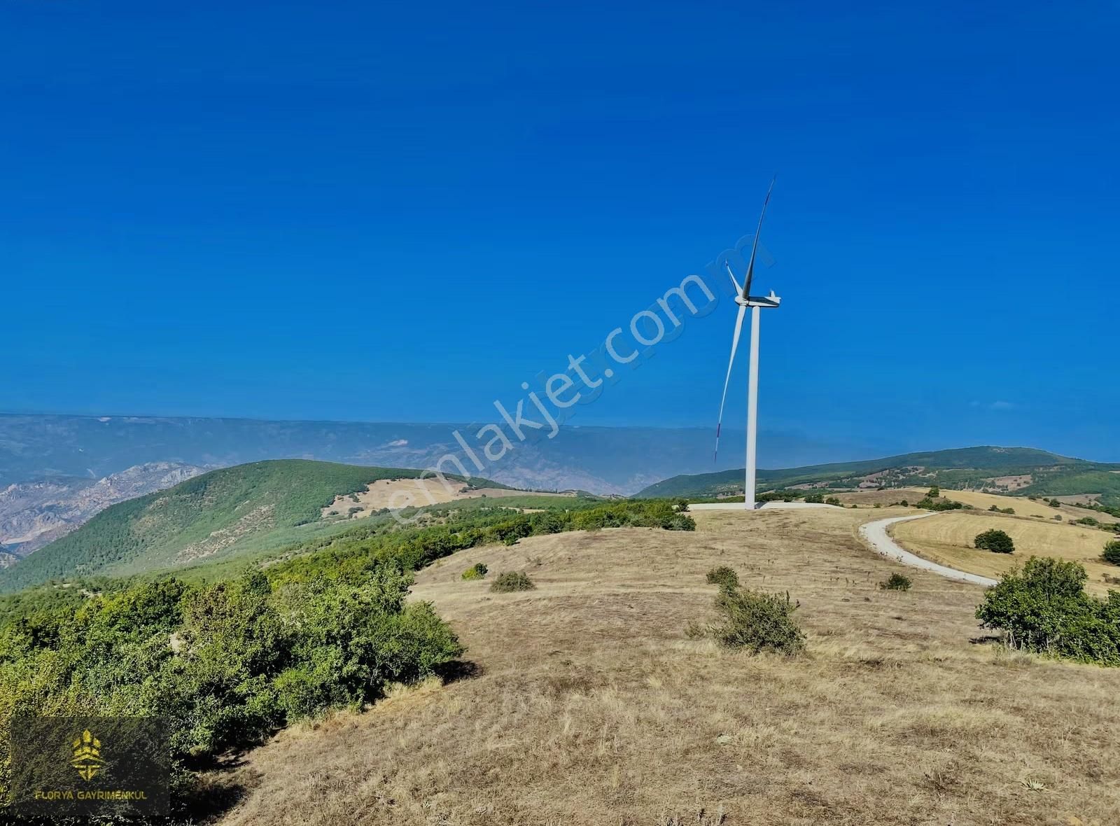 Avlamış Mahallesinde Yatırımlık Yolu Olan 4315 M² Tarla