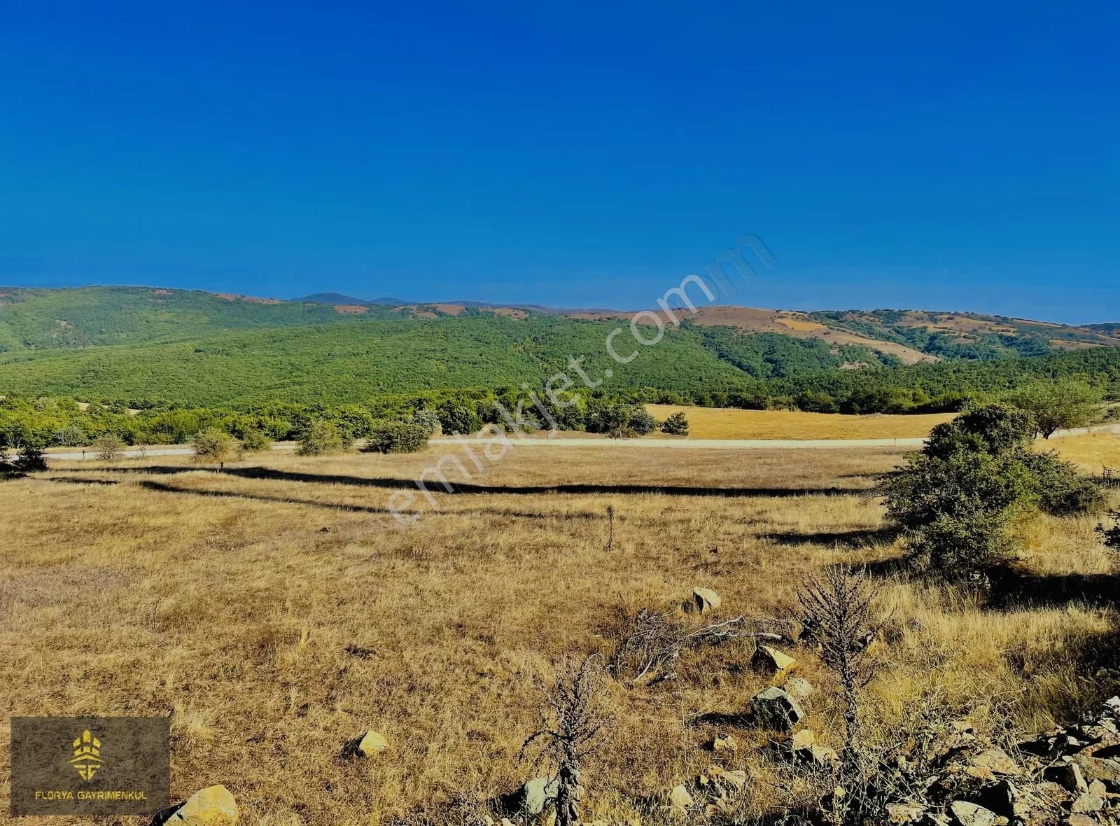 Avlamış Mahallesinde Yatırımlık Yolu Olan 4315 M² Tarla - Görsel 10