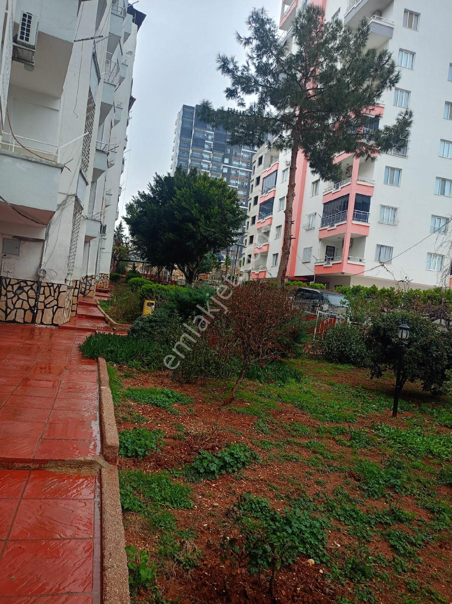 Asya'dan Masraflı Deniz Evı İki Daire - Görsel 13