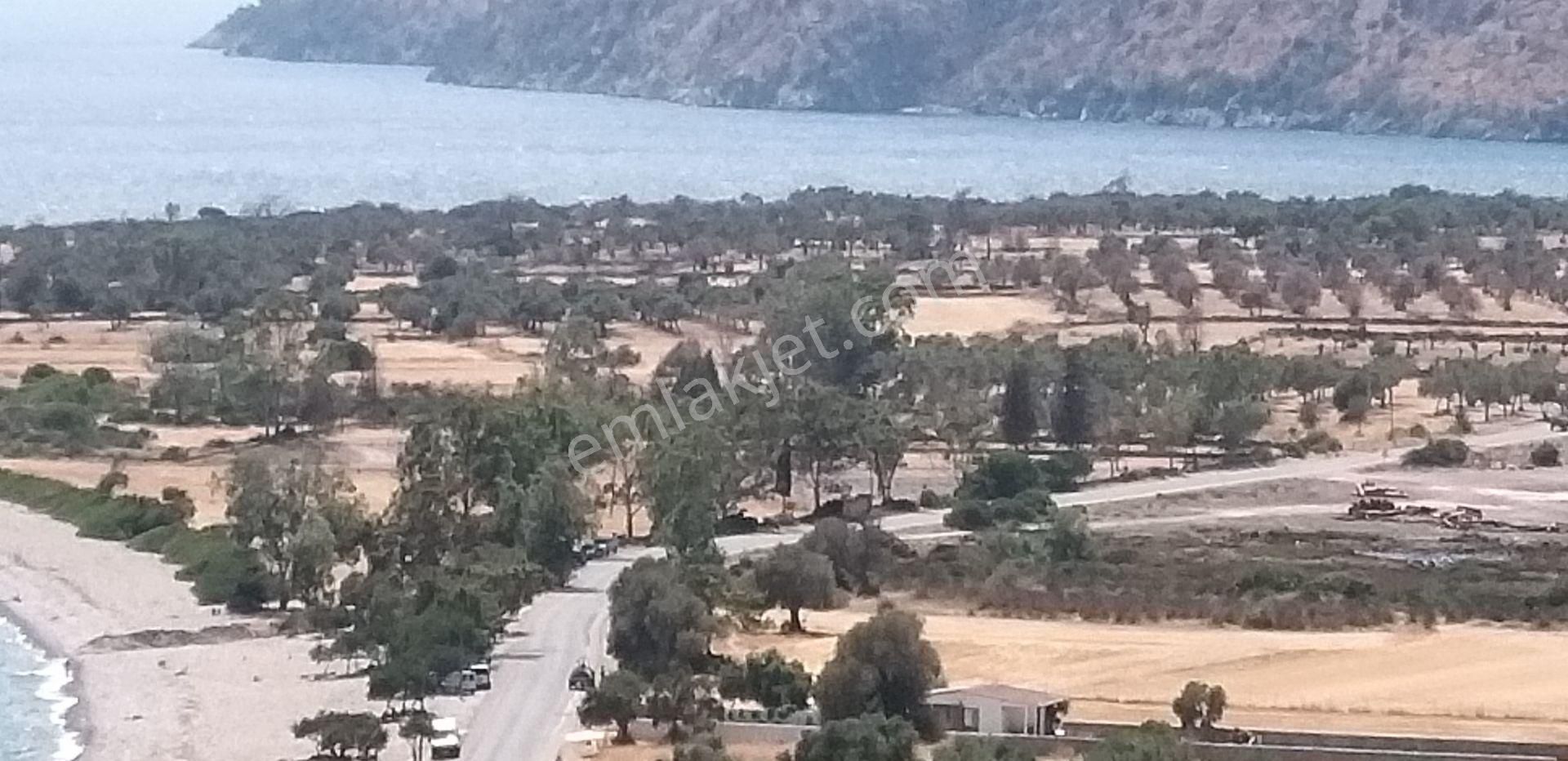 Gökova Körfezinin Eşsiz Cenneti Çökertme Ve Bozalan Mevkiinde Arsa 3,500 Bin Tl - Görsel 9