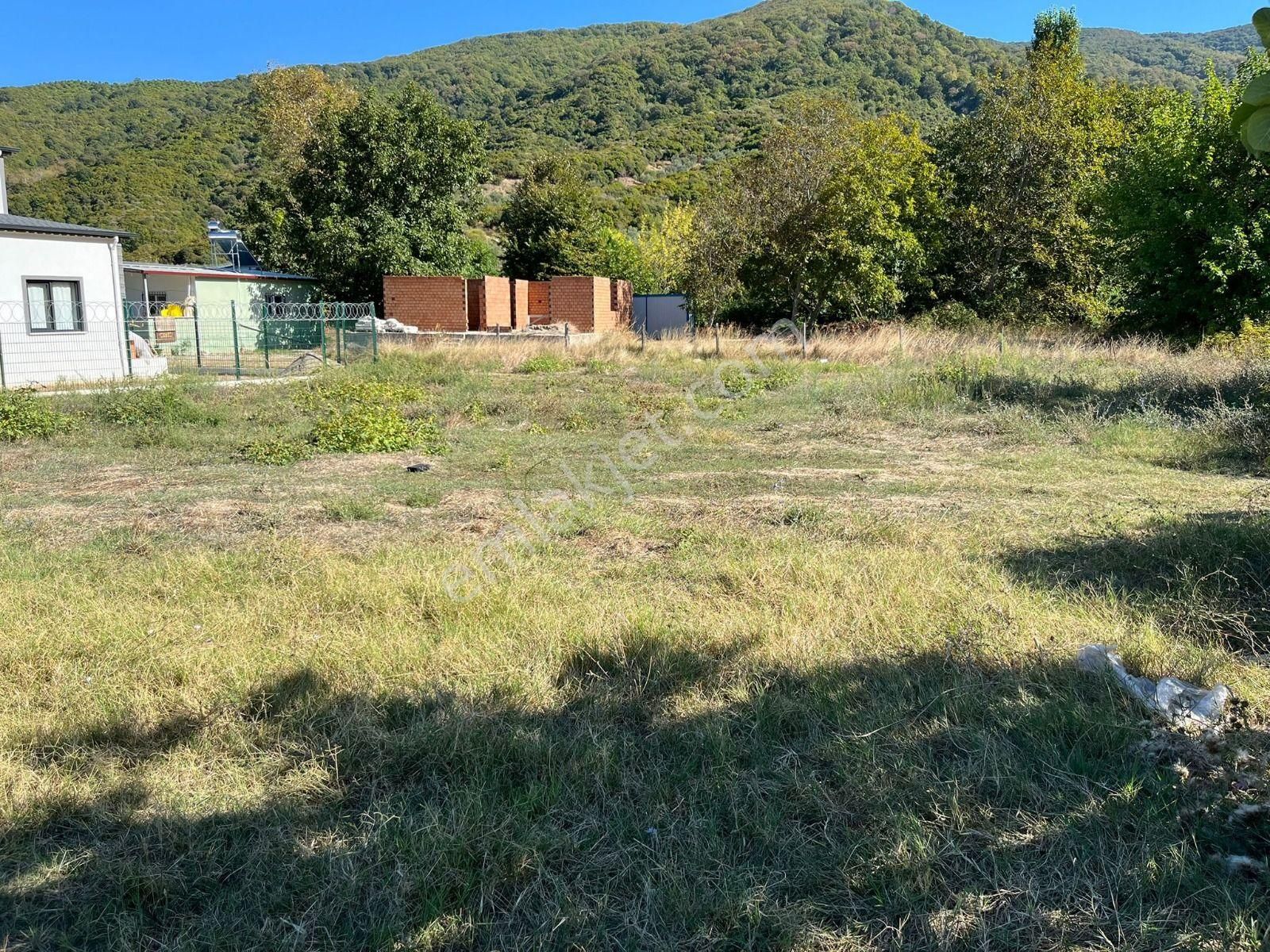 Se&as Exclusıve: Doğanlarda 4141 Metre² Yatırımlık Fırsat Arazi !!!