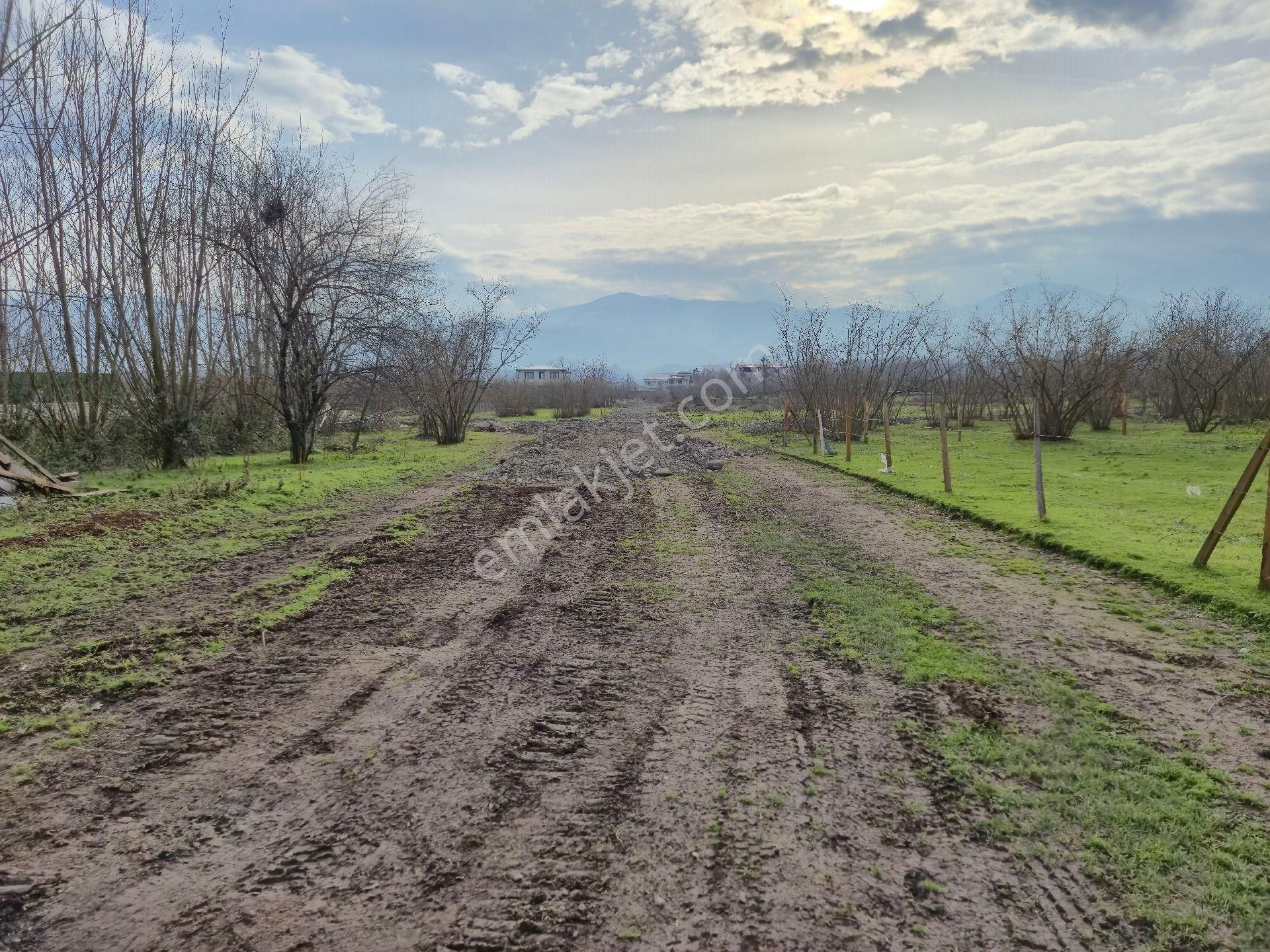 Realty World'dan Karapürçek Ahmetler'de 490m2 %35 3 Kat İmarlı Düz Arsa - Görsel 9