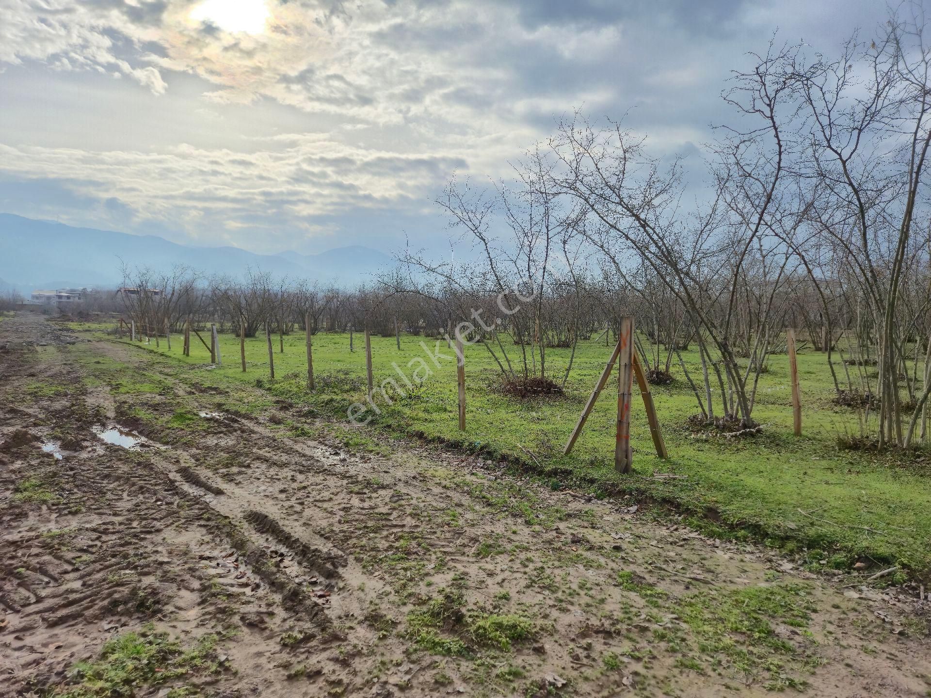 Realty World'dan Karapürçek Ahmetler'de 490m2 %35 3 Kat İmarlı Düz Arsa - Görsel 5