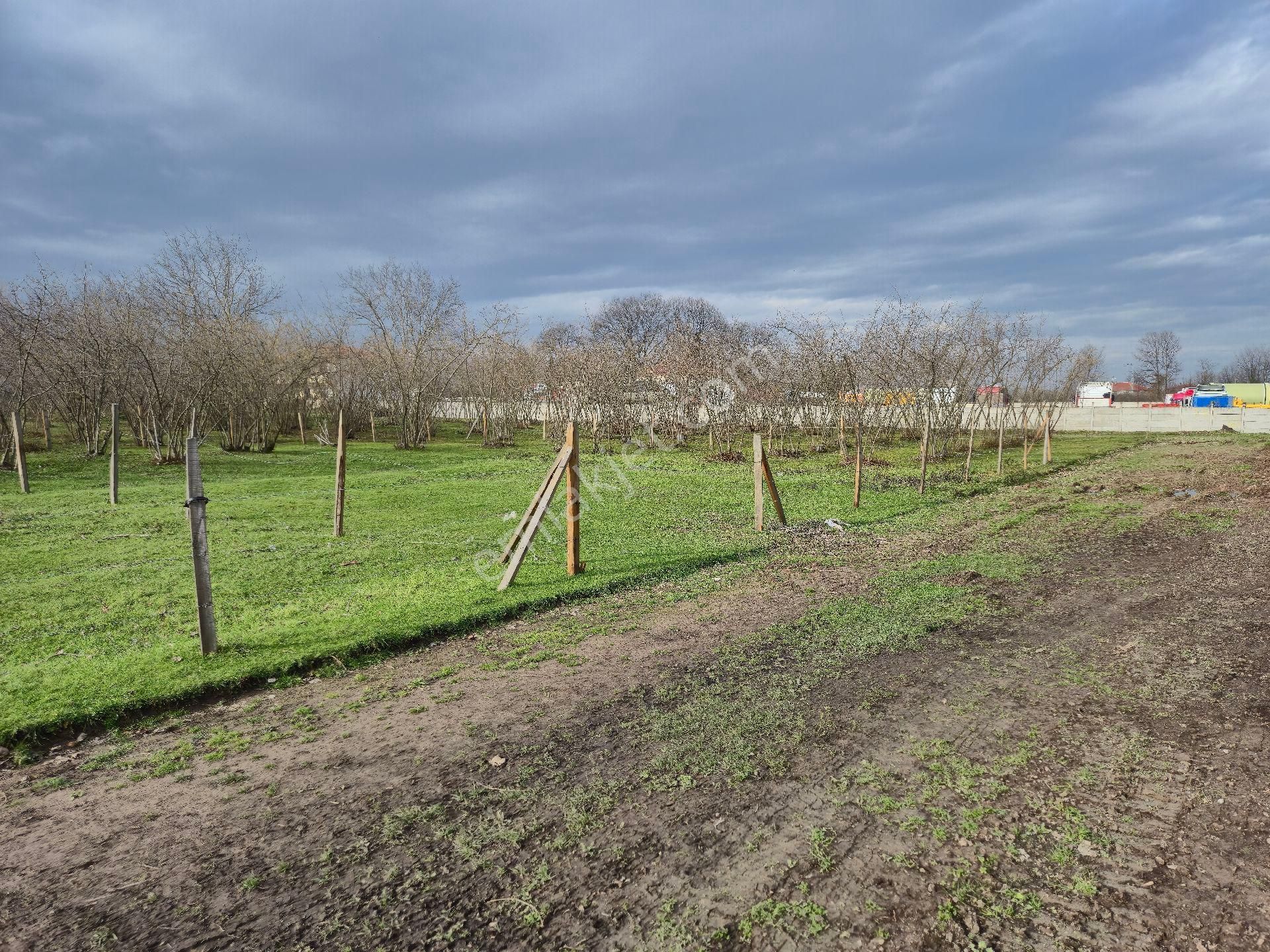 Realty World'dan Karapürçek Ahmetler'de 490m2 %35 3 Kat İmarlı Düz Arsa - Görsel 6