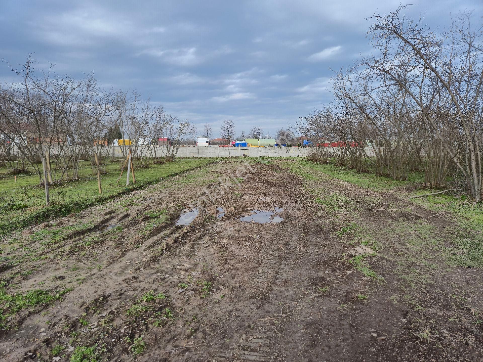 Realty World'dan Karapürçek Ahmetler'de 490m2 %35 3 Kat İmarlı Düz Arsa - Görsel 8