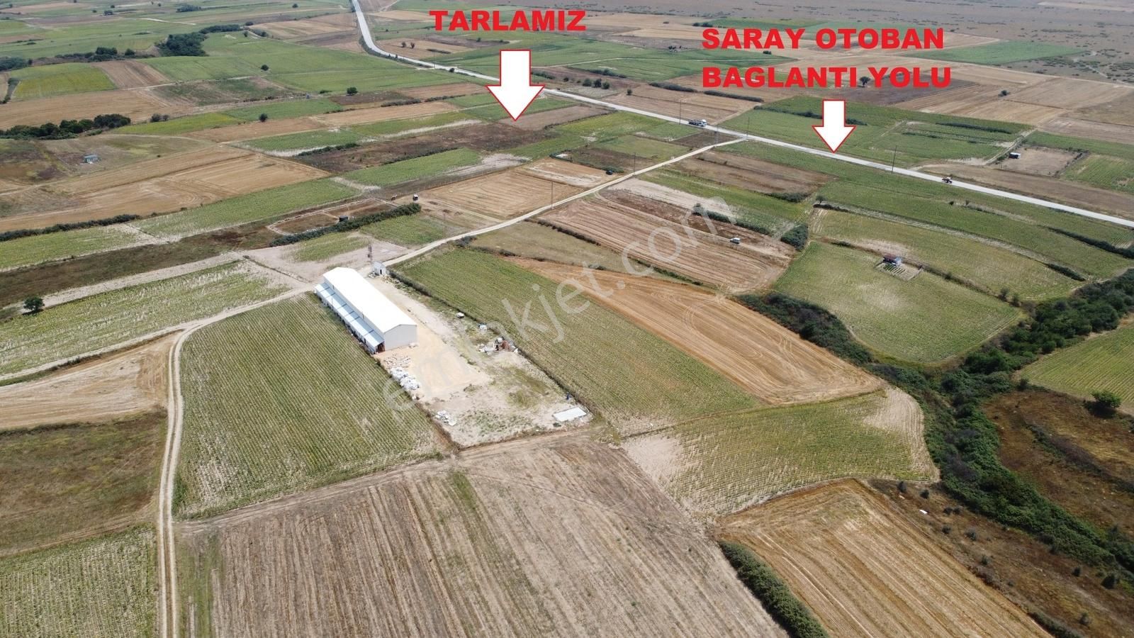 Saray Kurtdere Köyünde 1880 M2 Tek Tapu Tarla - Görsel 2