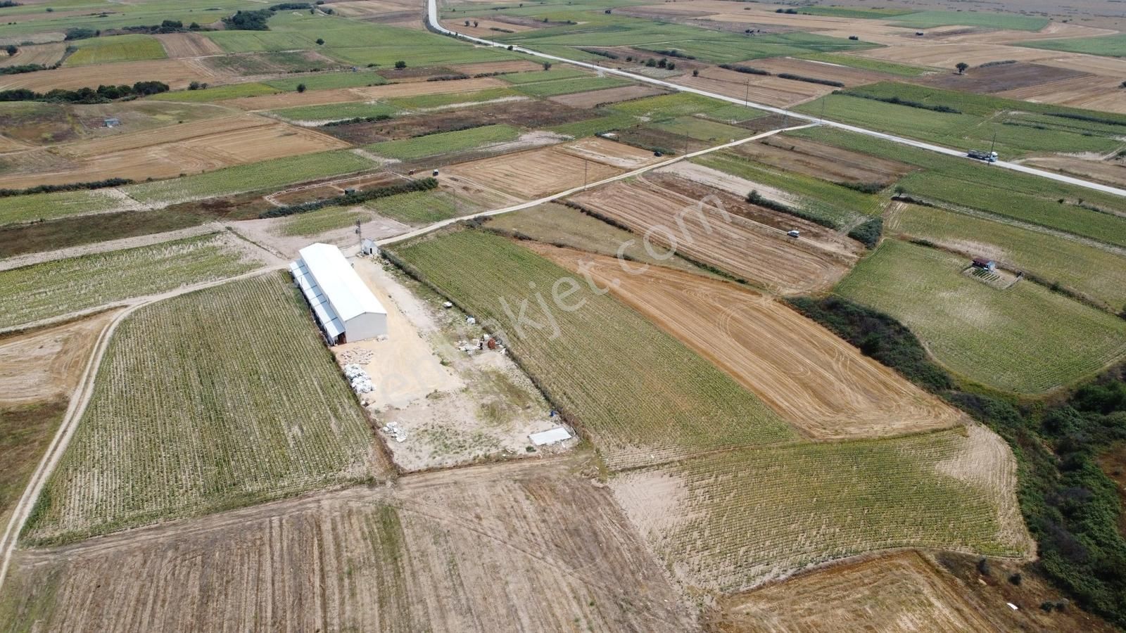 Saray Kurtdere Köyünde 1880 M2 Tek Tapu Tarla - Görsel 3