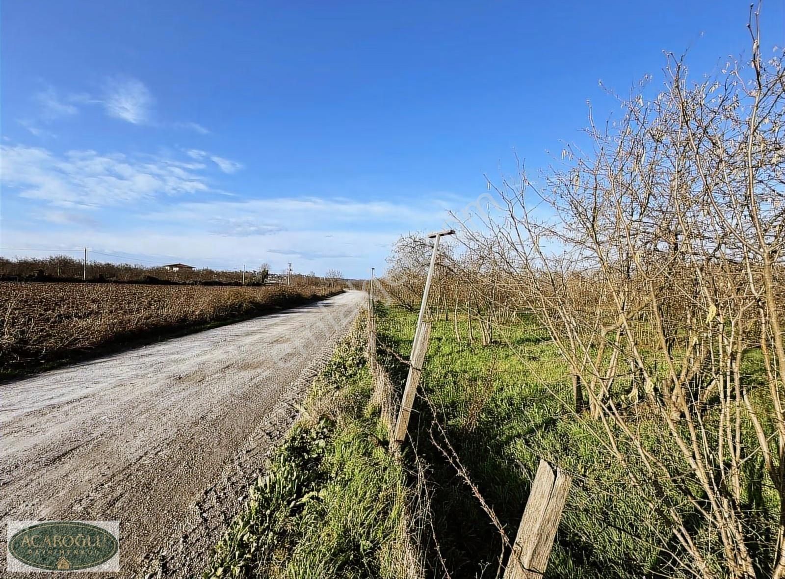 Sakarya Karasu Adatepe Nehire Komşu 470 M² Hobi Bahçesi - Görsel 7