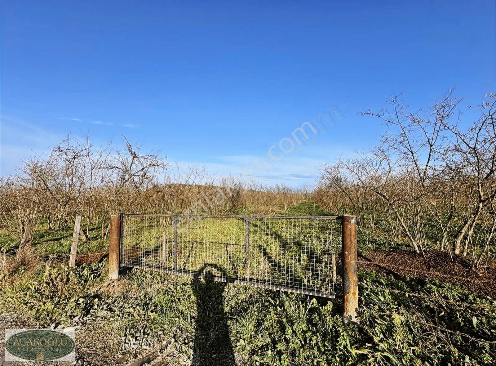 Sakarya Karasu Adatepe Nehire Komşu 470 M² Hobi Bahçesi - Görsel 4