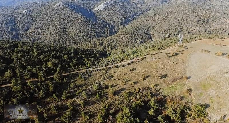Tanberk Den Satılık Tarla 8.336 M2 Kınık Mustaklar - Görsel 3
